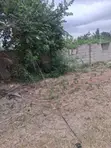 Genuine Half Plot for Sale in Sasaabi - 4