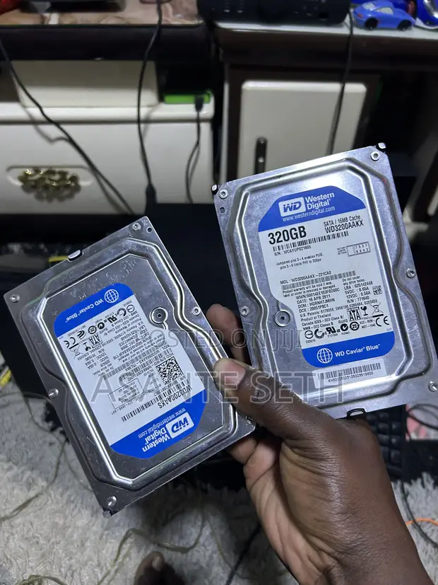 Western Digital 320GB Desktop Hard Drive - 1