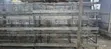 H Type Battery Cages for Sale (120 Chickens) - 4