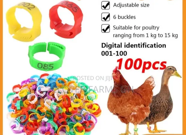 Chicken Foot Rings - Flock Identifier - 1