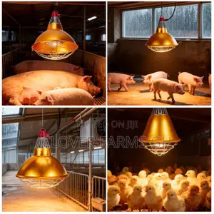 Complete Heat Lampshade for Brooding