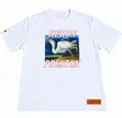 Cotton T-Shirt - Brand New - 2