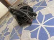 Foreign Used Jetta 6 Alternator - 2