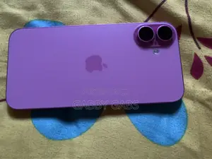 Apple iPhone 16 Plus 256GB Pink (iCloud Locked)