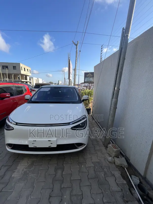 Dongfeng Nammi 01 31.45 kWh 330 Plus 2024 White - 1