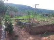 600sqm Land with Storey Footings for Sale - Otia Krom/Shalom - 5