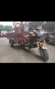 New Sonlink SL150ZH-S2 2025 Brown Tricycle - 2