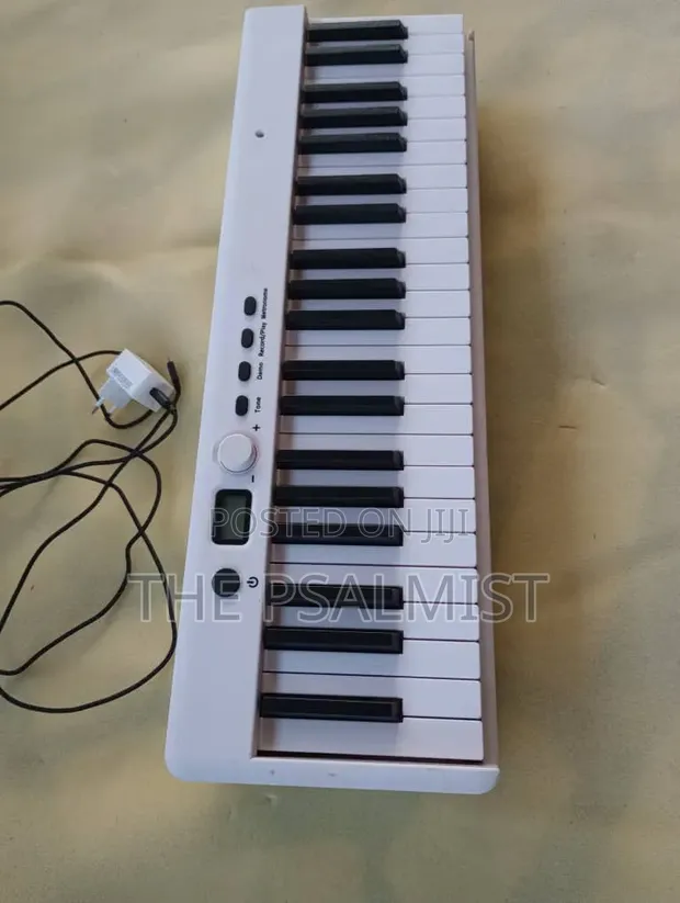 BX 20 Foldable 88-Key Digital Piano - 1