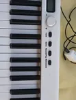 BX 20 Foldable 88-Key Digital Piano - 2