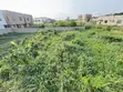 Titled Residential Land for Sale at Kwabenya ACP - 4
