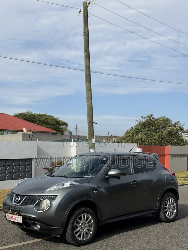 Nissan Juke 2012 Gray - 1