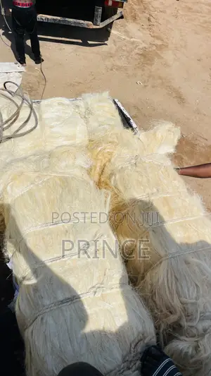 Long Sisal Fiber
