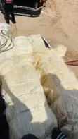 Long Sisal Fiber - 1