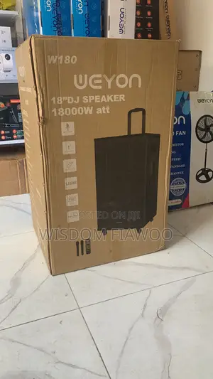Weyon 18-inch DJ Speaker with 2 Microphones