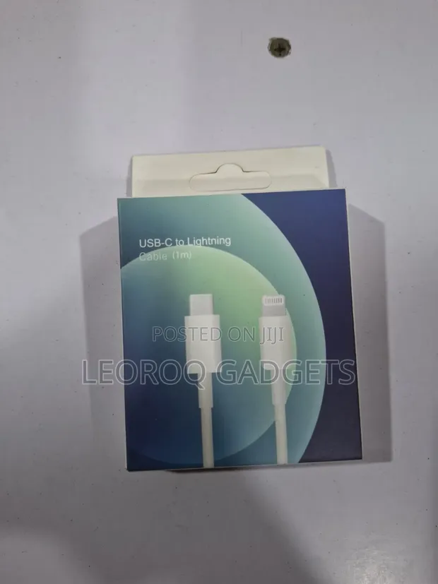iPhone Lightning to USB Cable - 1