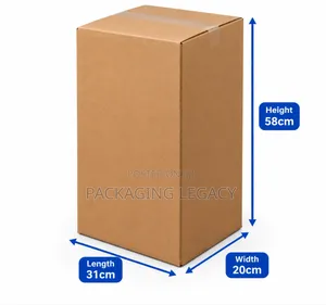 High Quality 3-Ply Cardboard Box (31x20x58CM)