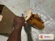 Nissan Sentra/Sunny/Almera Fuel Pump Assembly (Used) - 2