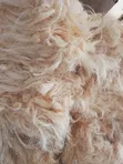 POP Building Materials (Fiber Ceiling) - 5