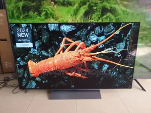 LG 48" C4 OLED UHD HDR 4K Smart Satellite TV