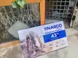 New Nasco 43” FHD Satellite Digital TV - 2