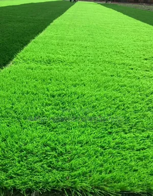 Green Grass Carpet (Artificial Turf)