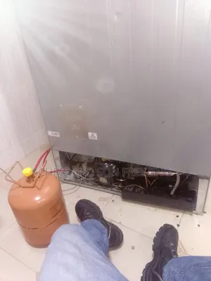 Professional Fridge Repair Service