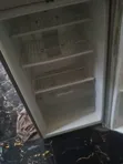 Professional Fridge Repair Service - 2