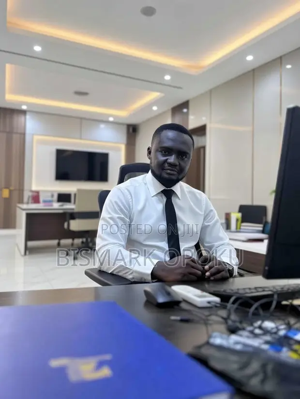 Graduate Accountant Available - Kumasi - 1