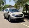 2019 Honda CR-V EX-L AWD Gray - 1