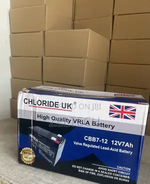 12V 7Ah Rechargeable Battery