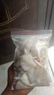 Fresh Oyster Mushrooms - 4