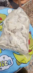Fresh Oyster Mushrooms - 5