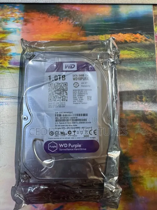 1TB WD Surveillance Hard Drive - 1