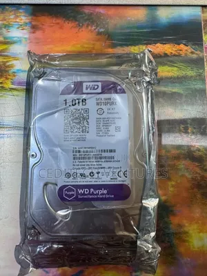 1TB WD Surveillance Hard Drive
