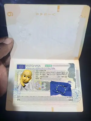 Schengen Type-D Visa Process