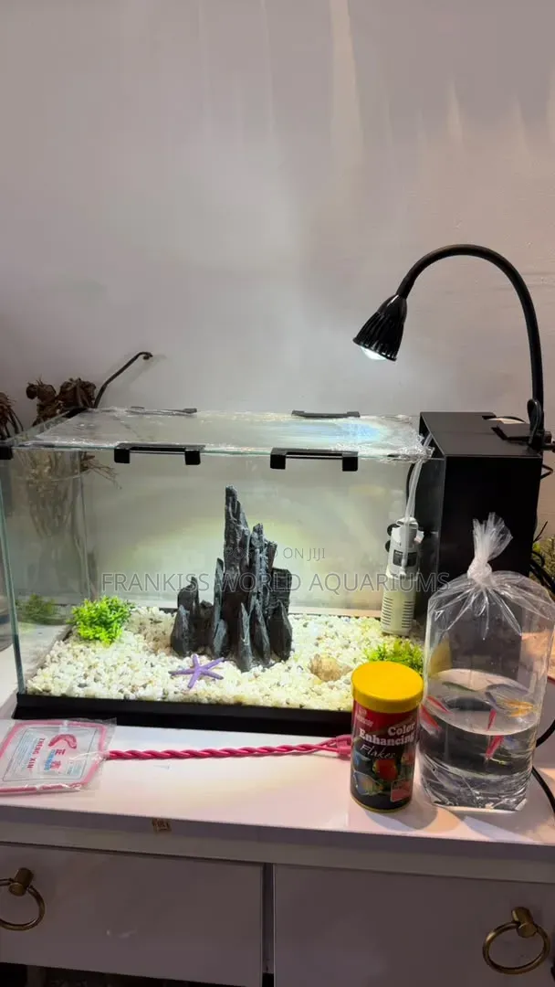 Mini Aquarium Tank Package - 1