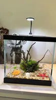 Mini Aquarium Tank Package - 2