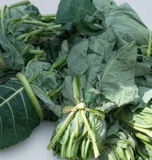Fresh Kontomire (Cocoyam Leaves)