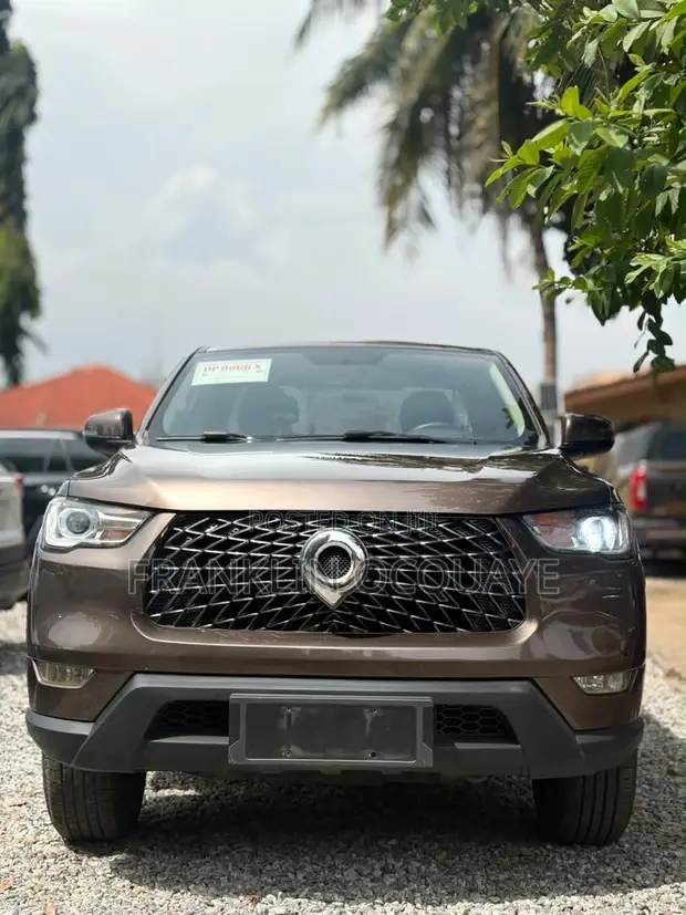 Great Wall Poer Comfort 2021 Brown - 1