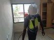 Cleantex Ghana: Free Fumigation Service - 3