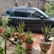 Kia Sportage 2007 Brown - 4