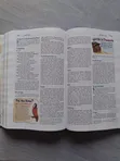 NIV Adventure Bible (Full Children's Bible) - 4