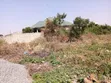 Affordable Residential Land for Sale - Danfa - 1