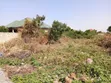 Affordable Residential Land for Sale - Danfa - 2