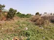 Affordable Residential Land for Sale - Danfa - 3