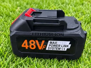 48V Lithium-Ion Battery for High Pressure Car Wash Gun
