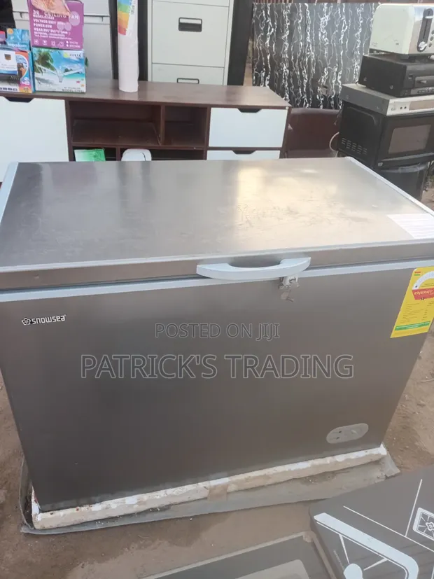 Snowsea Deep Freezer - 5 Months Used - 1