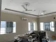 Professional Painting and Design Services - 5