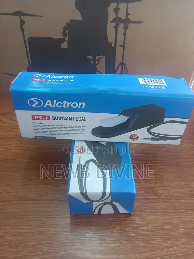 Alctron Sustain Pedal - 1