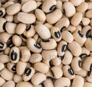 High Grade Beans (Olonka)